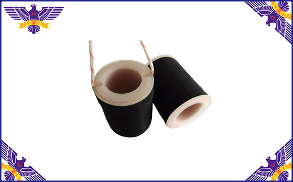 德國(guó)EEP線圈圖片